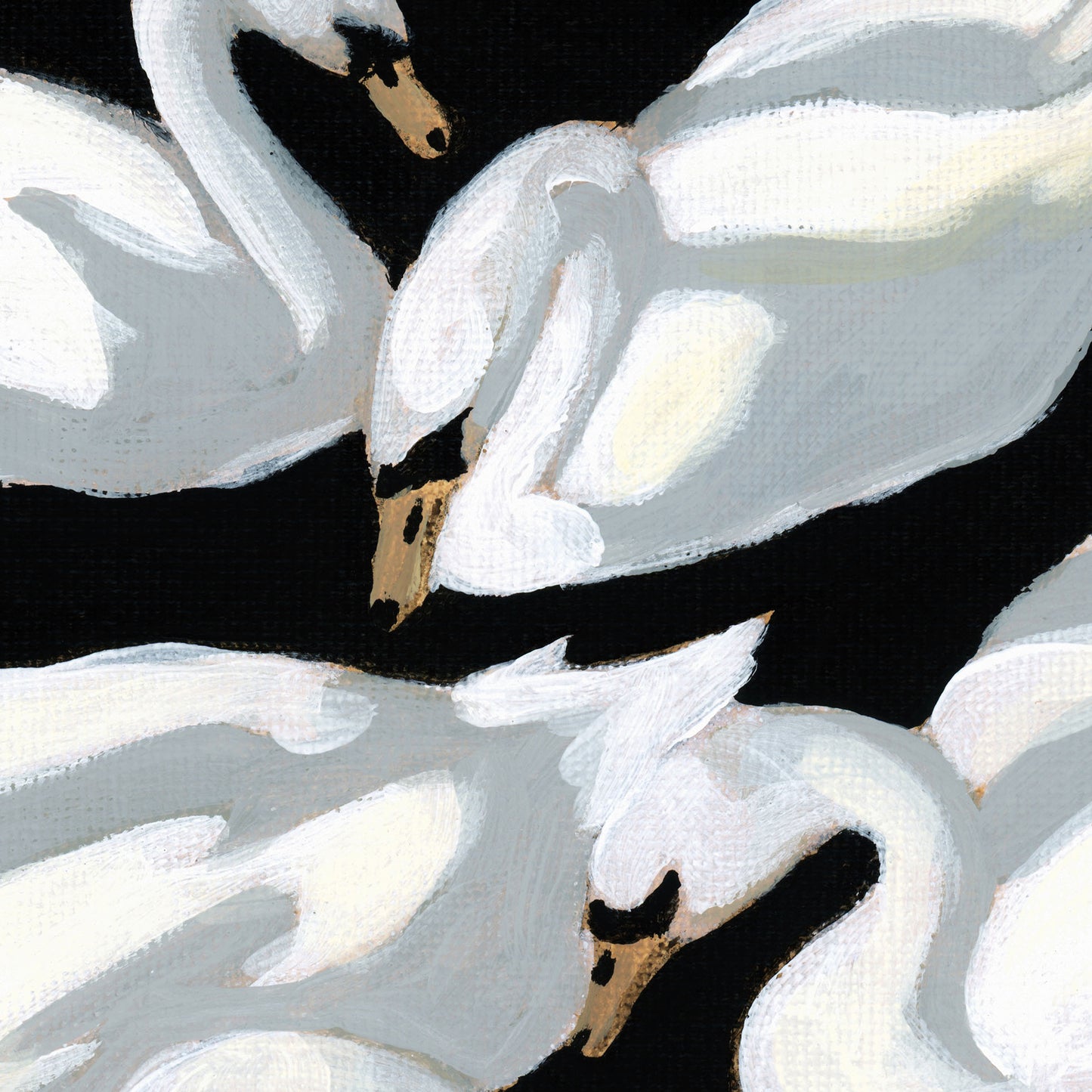 Close-up of painted white swans on a black background