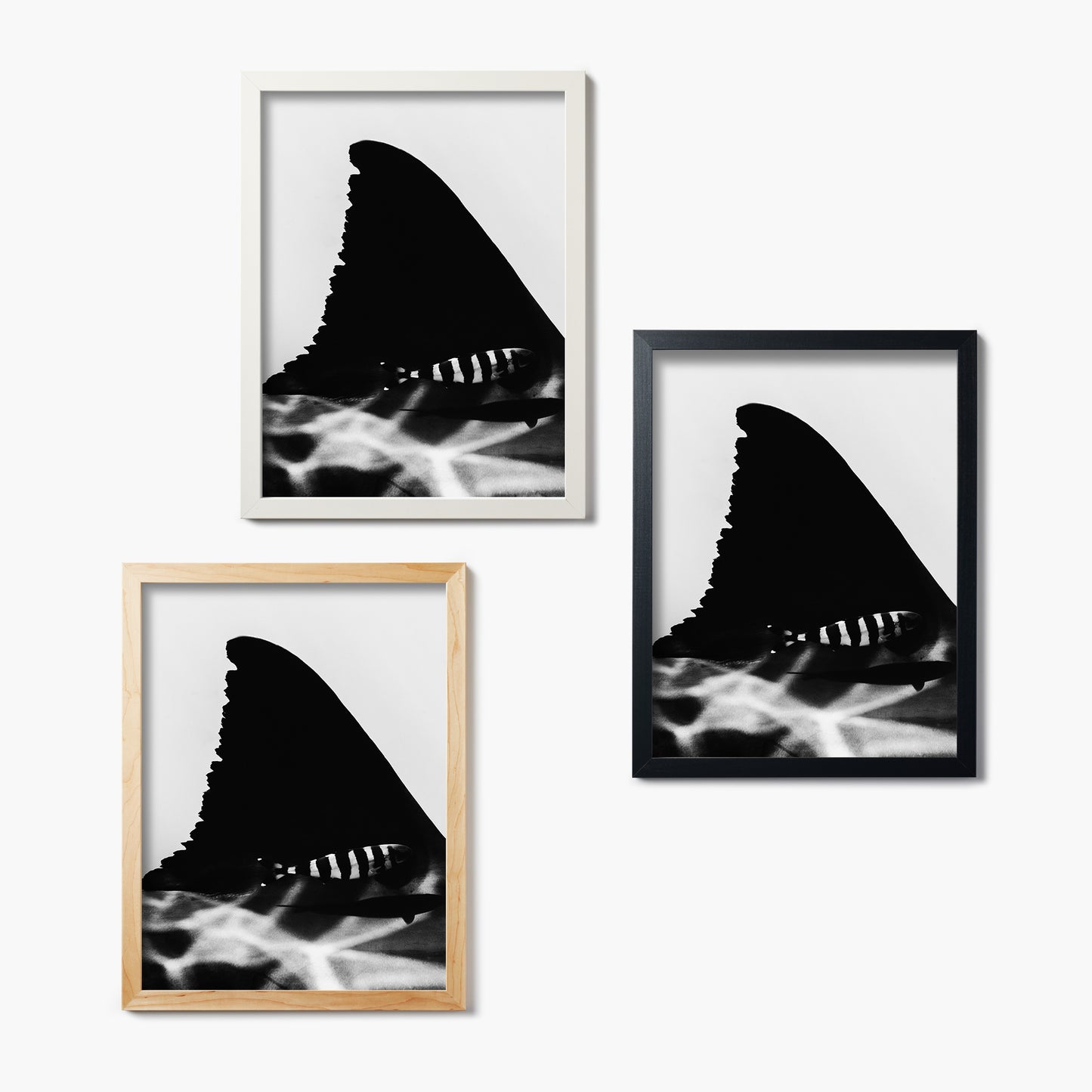 Three framed black and white artworks of shark fins on a white wall.