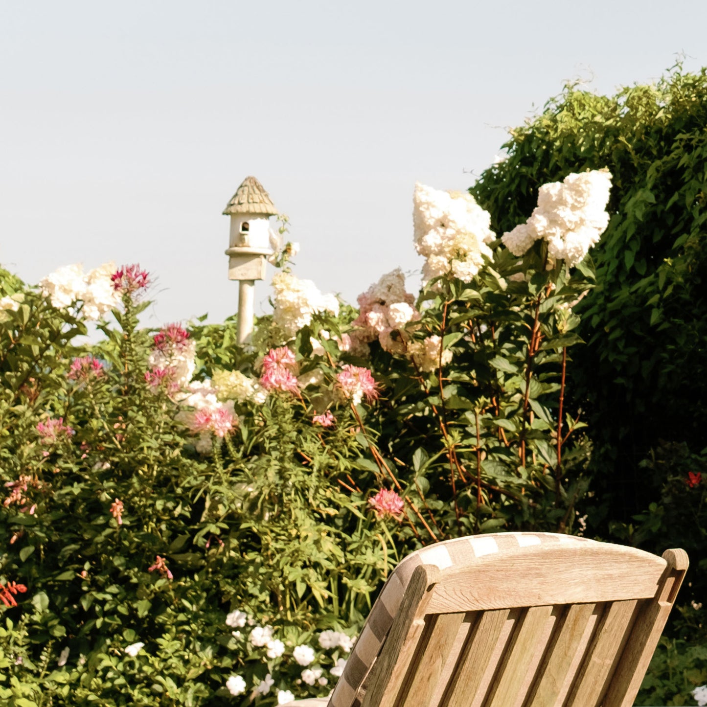 Close up of a wooden chair in a garden with flowers and a birdhouse in the background