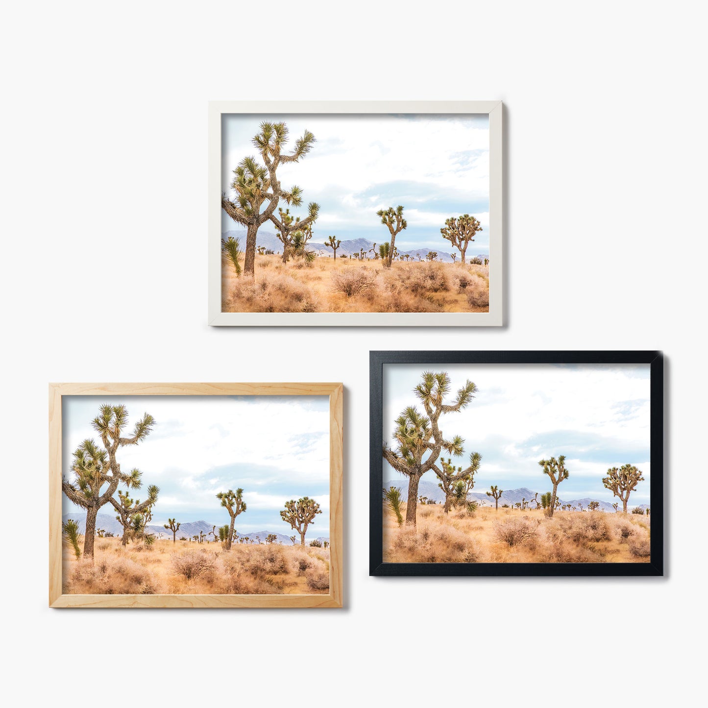 Desert Blue