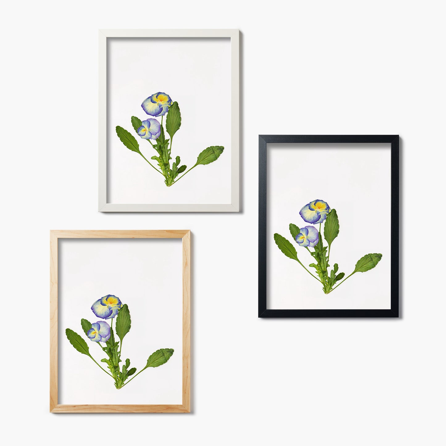 February Violet Pressed Floral Print