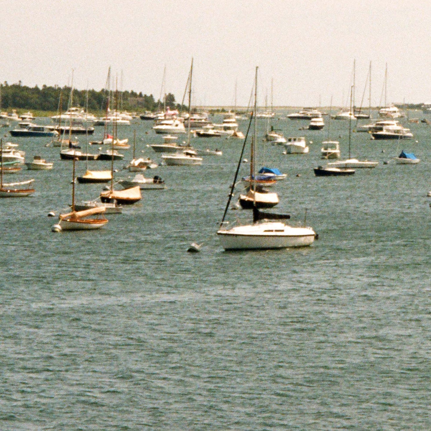 Close up of a harbor filled with numerous sailboats docked in a body of water.