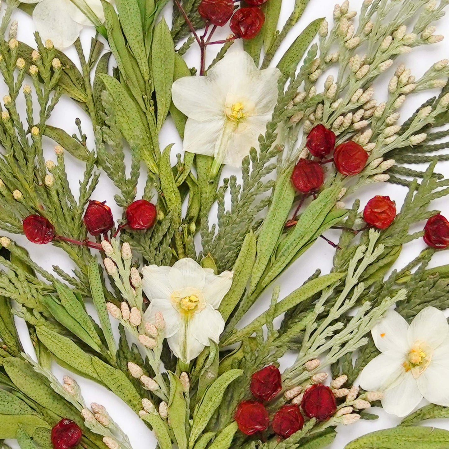 Holiday Bouquet Pressed Floral Print