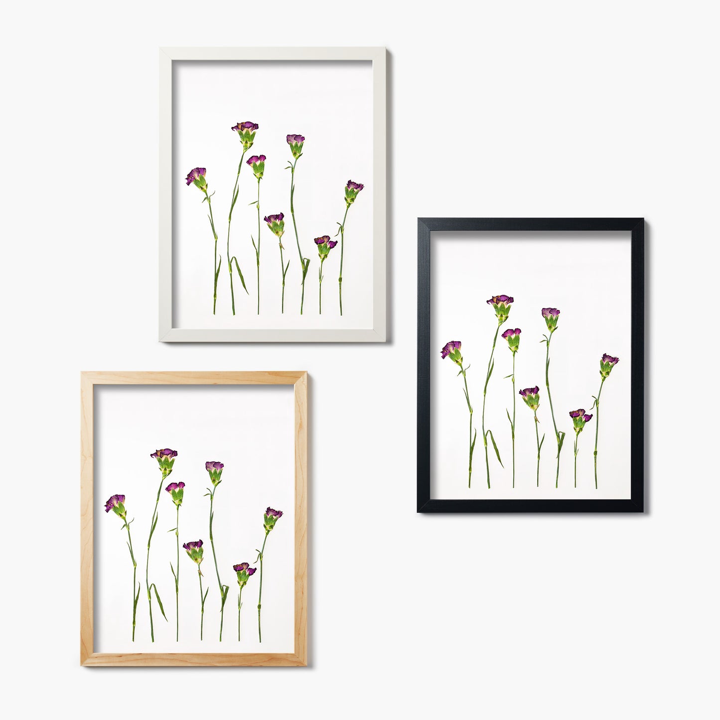 January Carnation Pressed Floral Print