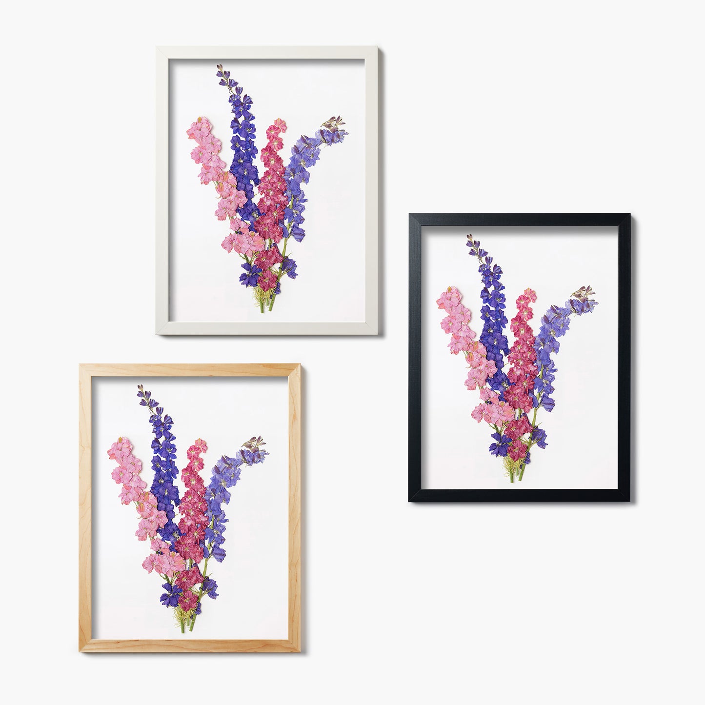 July Larkspur Pressed Floral Print