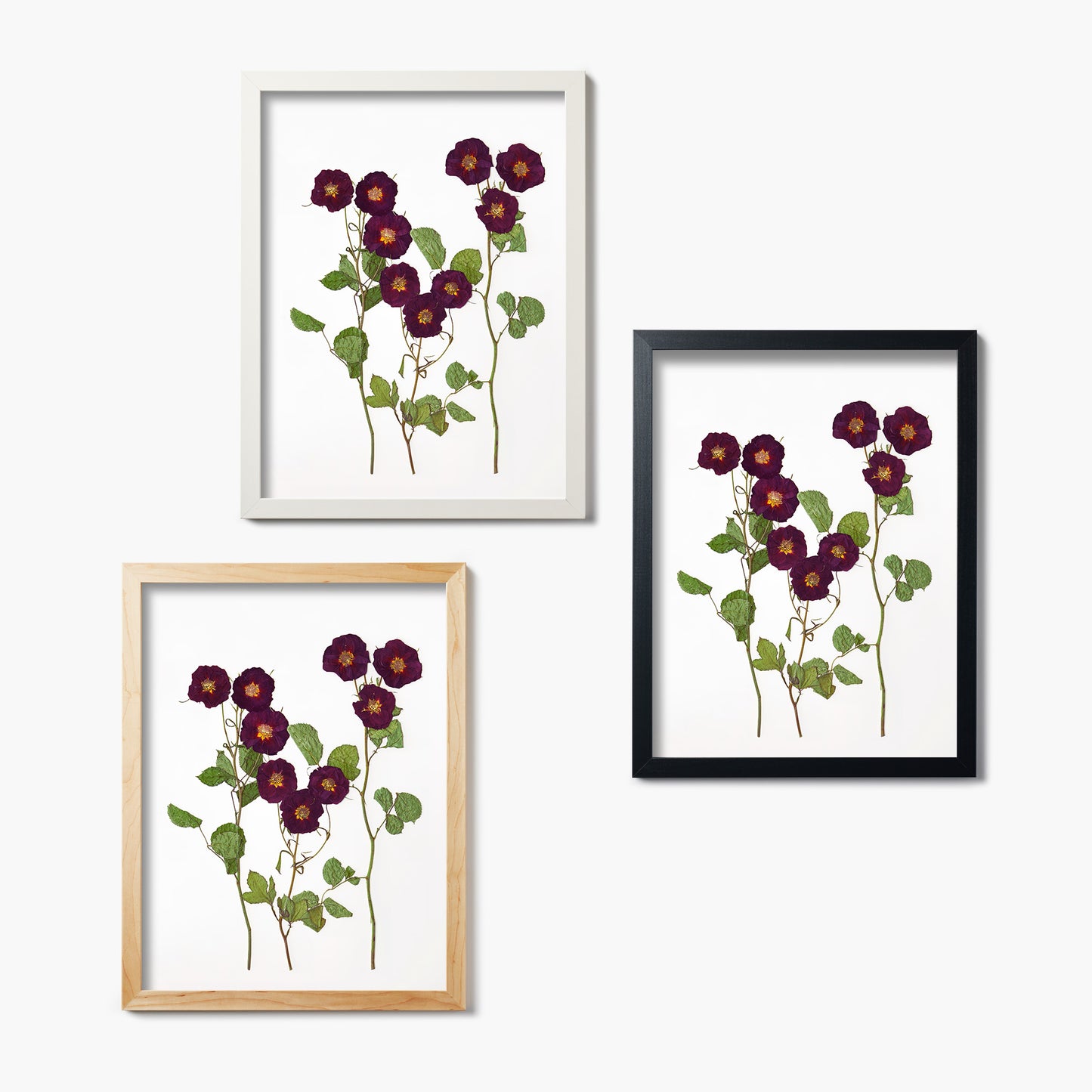 June Rose Pressed Floral Print