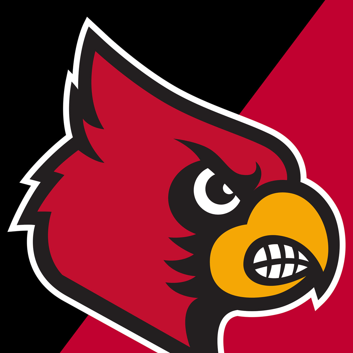 Louisville Cardinal Graphic