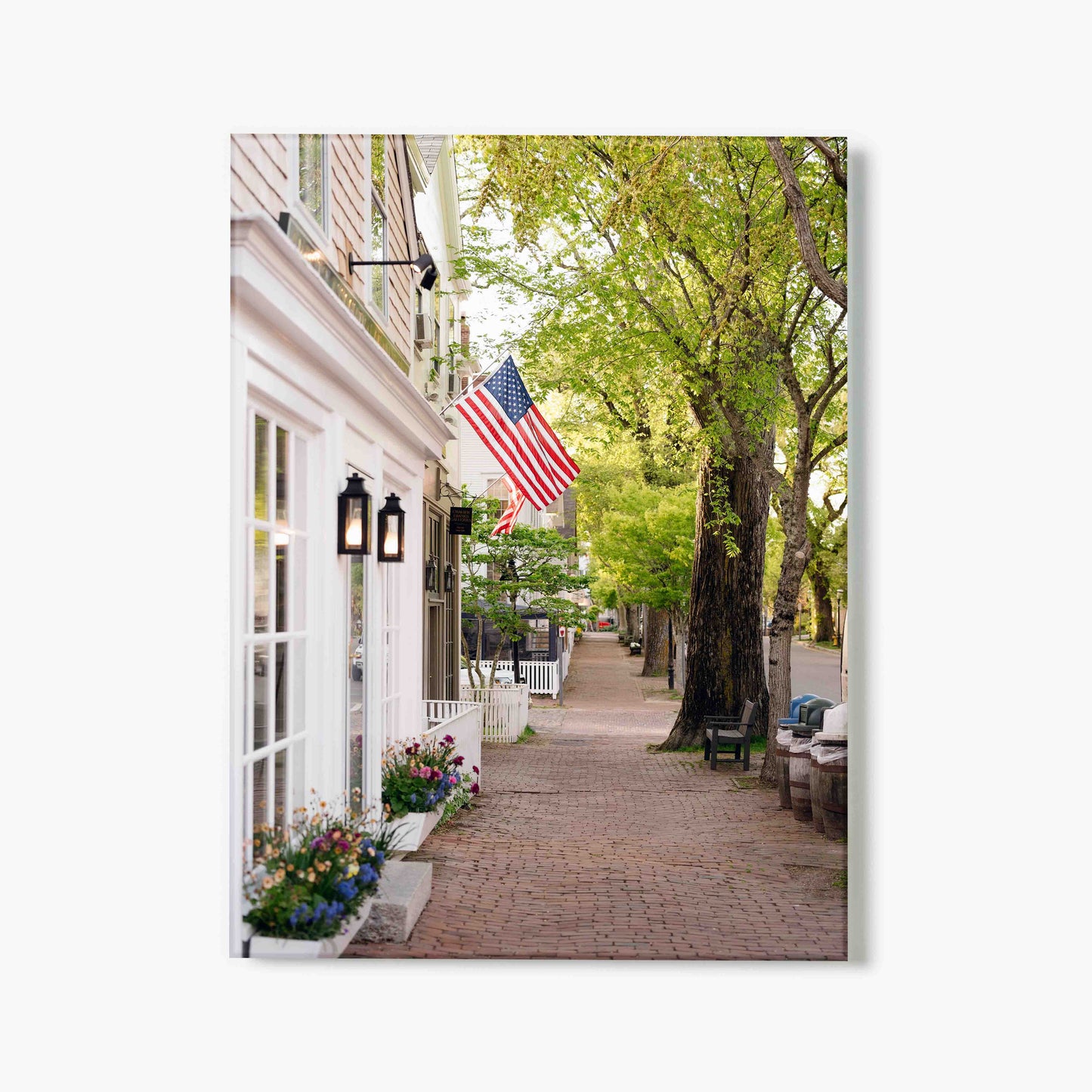 Glass print of a street scene with a house, American flag, and trees on a white background