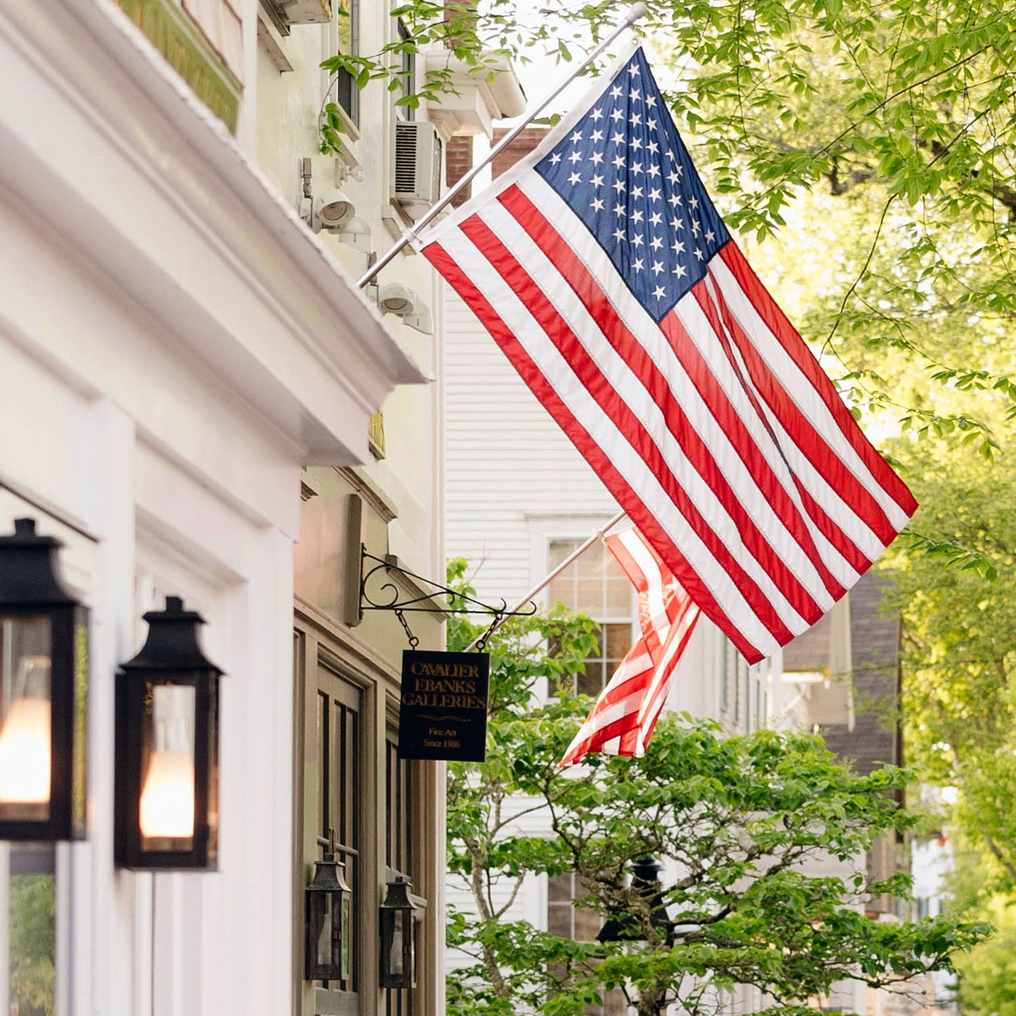 A close up of an American flag hanging outside a building with greenery in the background
