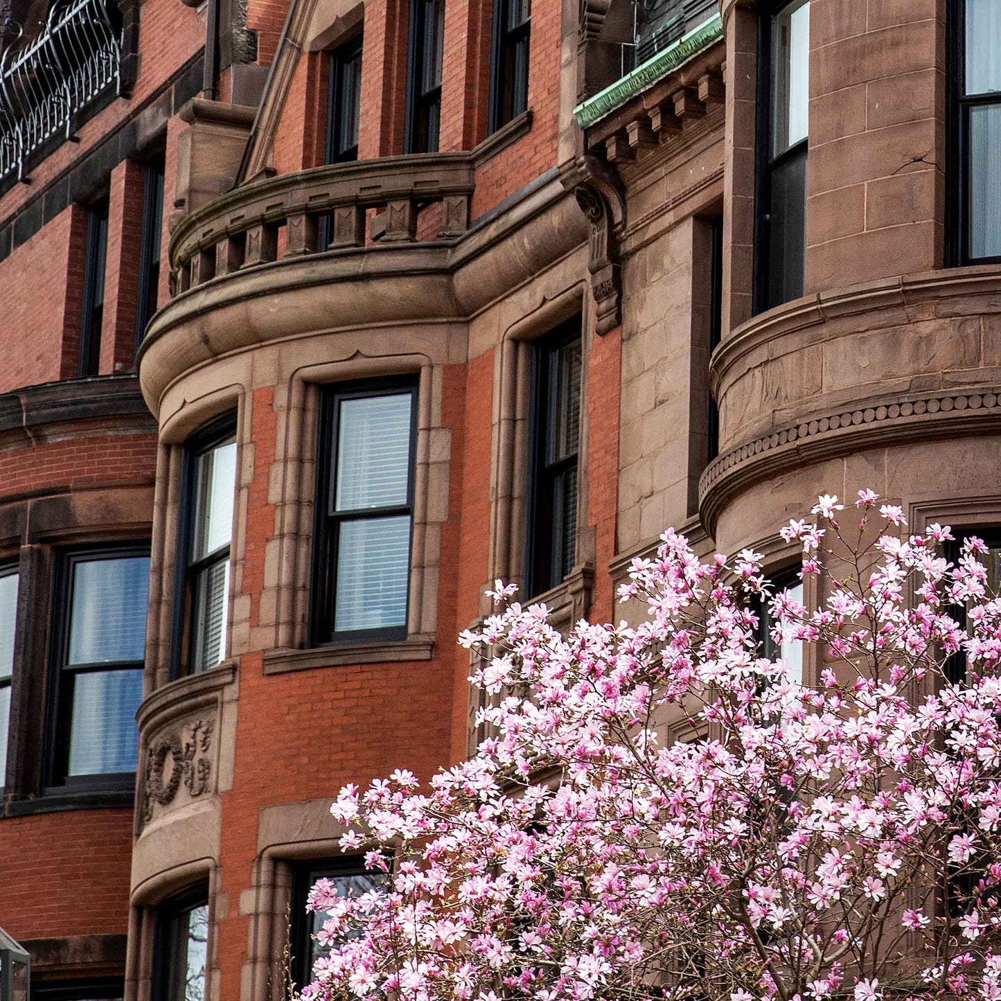 Newbury Blooms