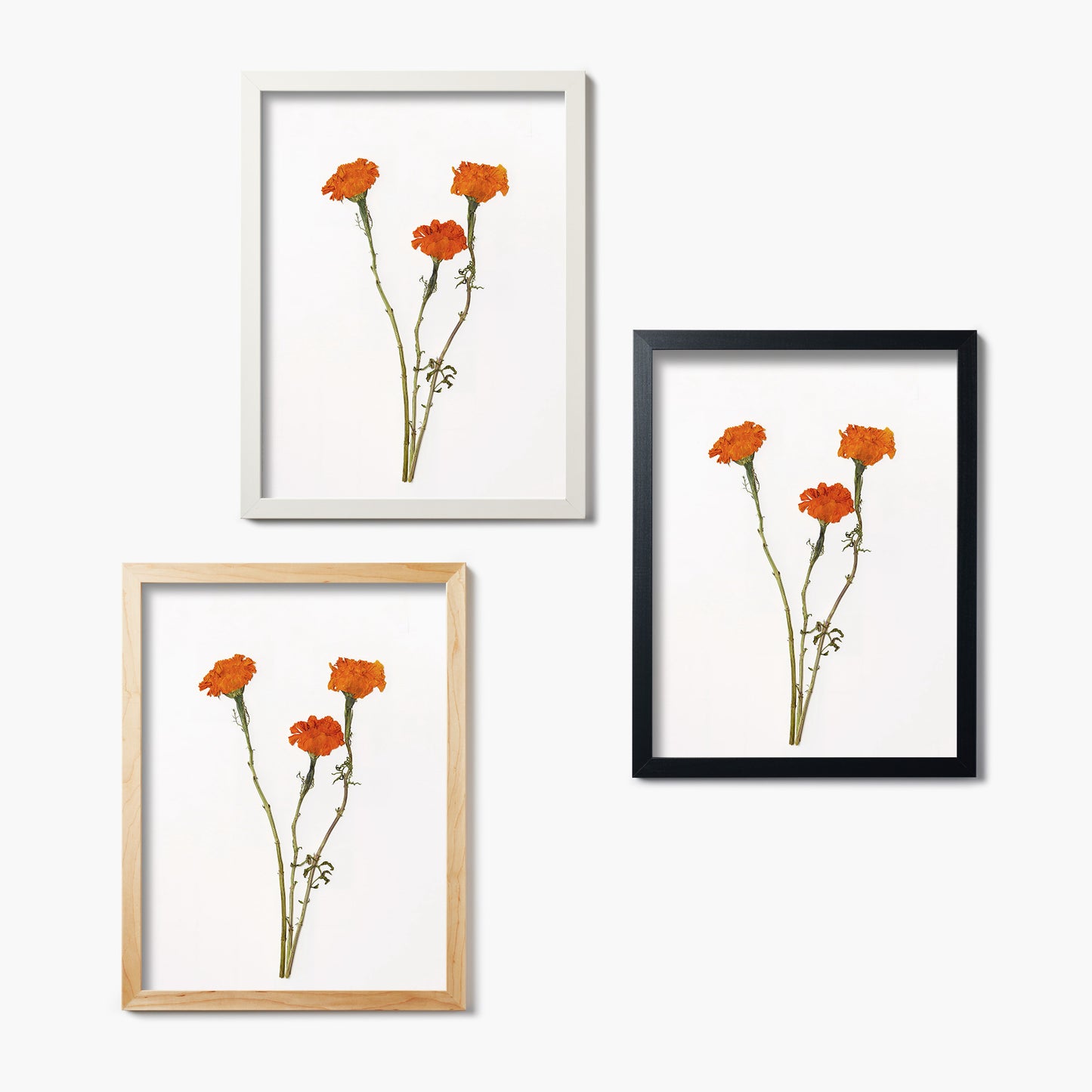 October Marigold Pressed Floral Print