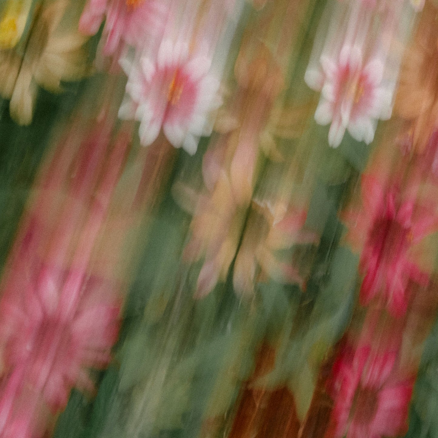 Close-up of an artistically blurred image of pink and green flowers