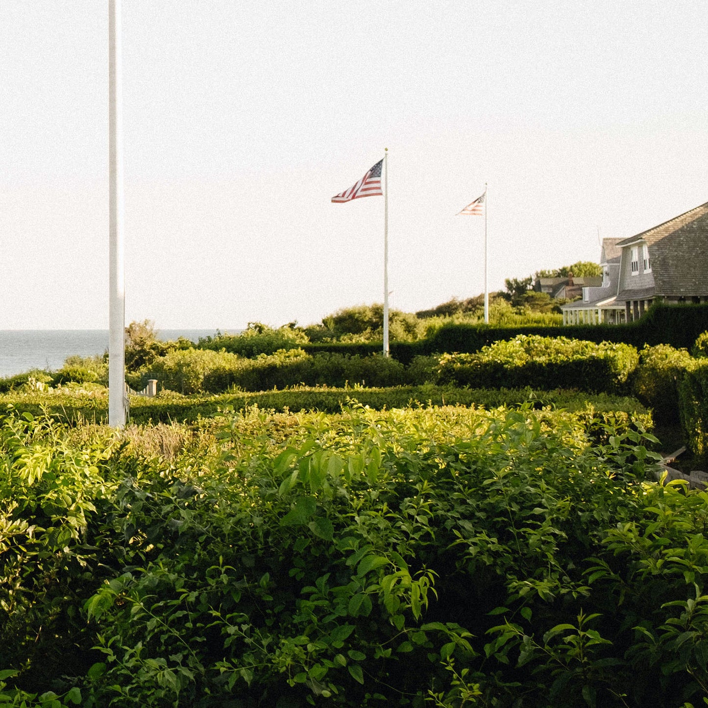 Close up of American flags flying above a hedge with a house in the background