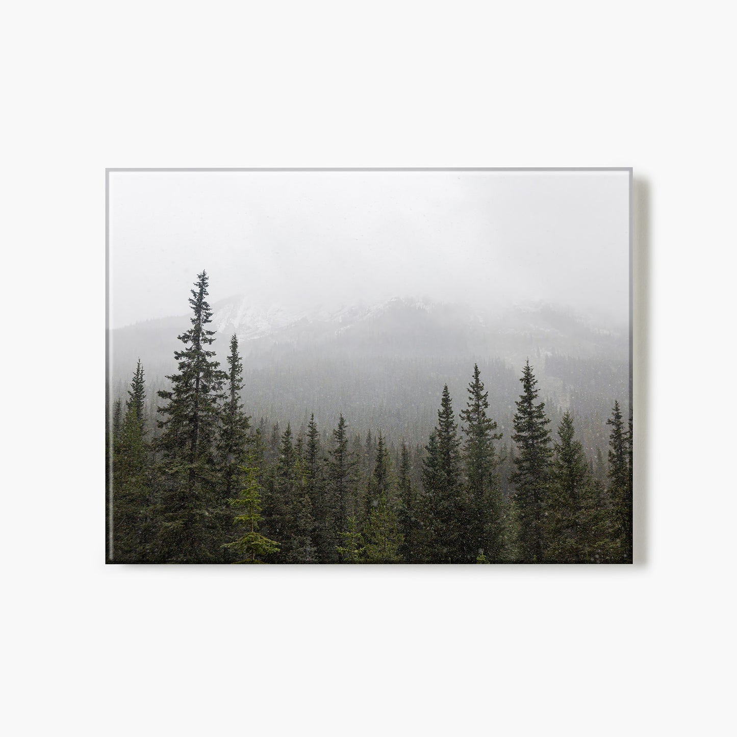 Snowy Skyline in Banff