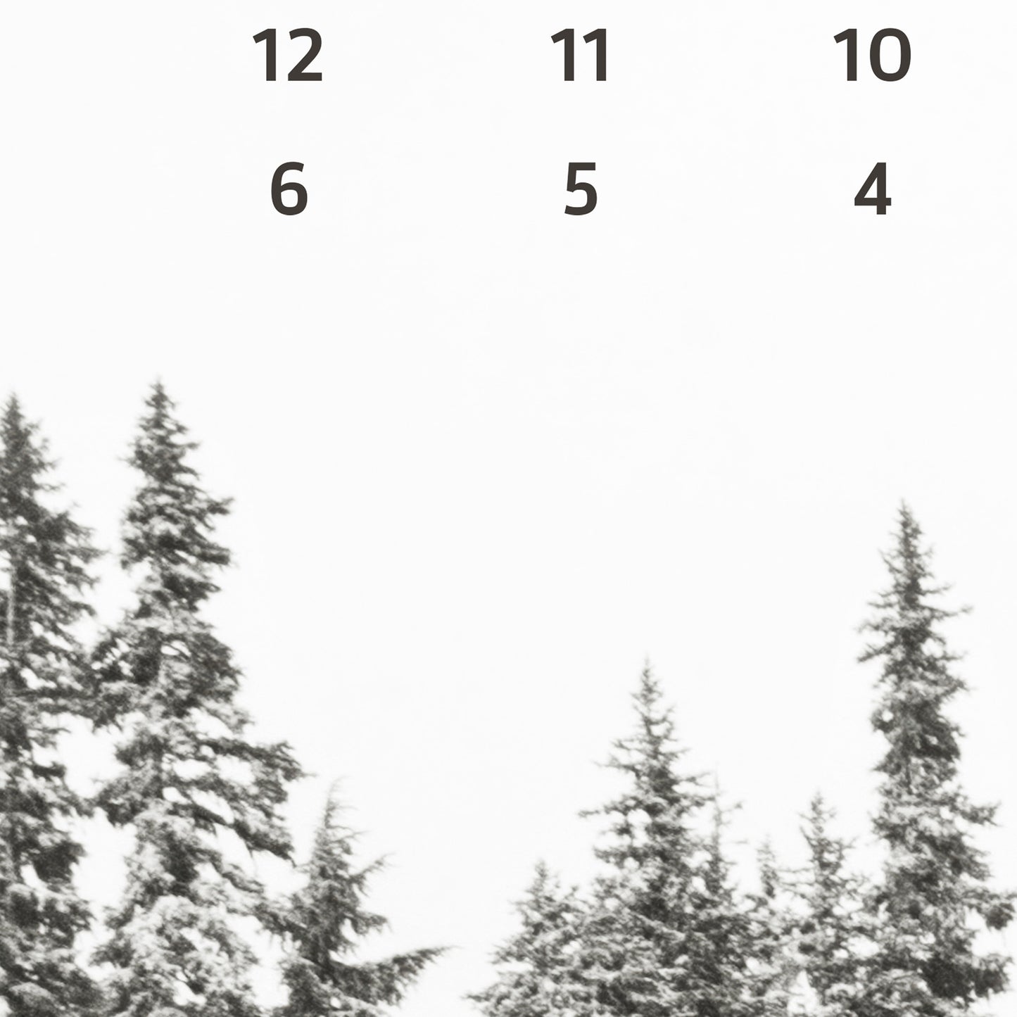Gold Lake Trees Sleeps Til Christmas