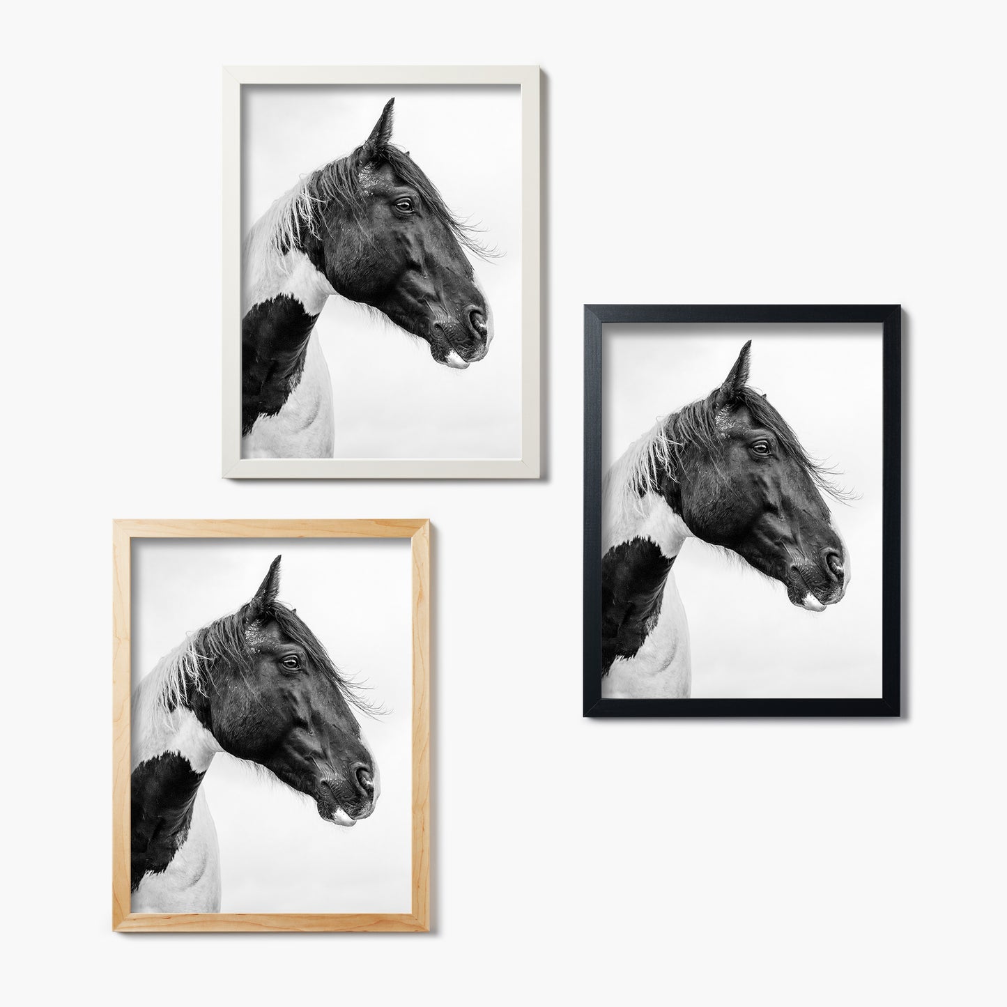 Soul Of The Steed