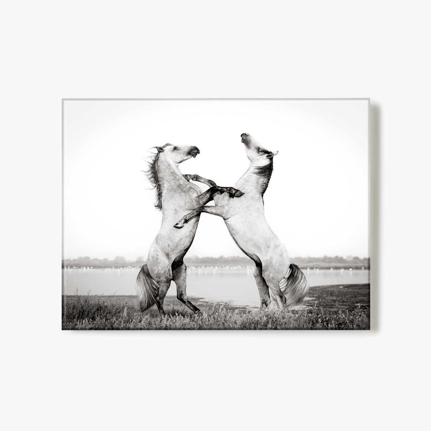 Sparring Spirits