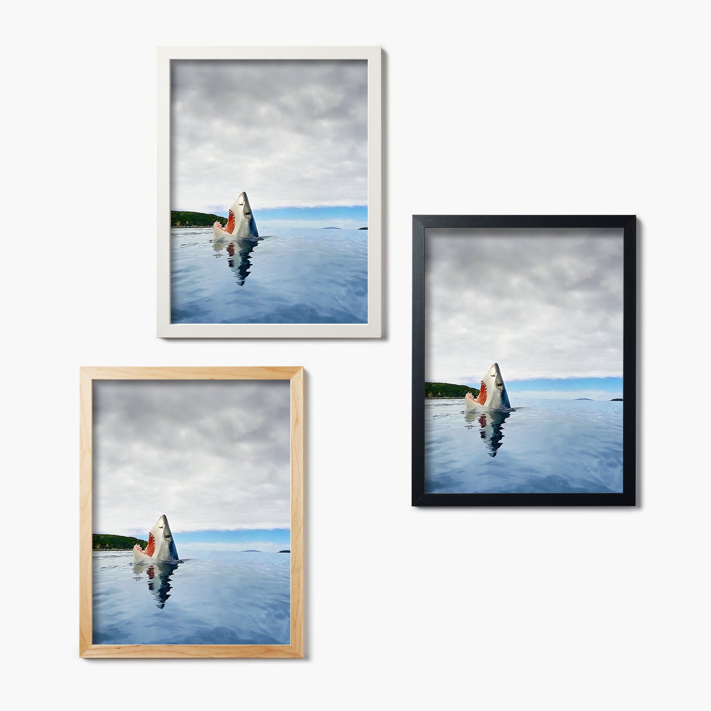 Three framed glass prints of a shark's head emerging from water on a white wall.