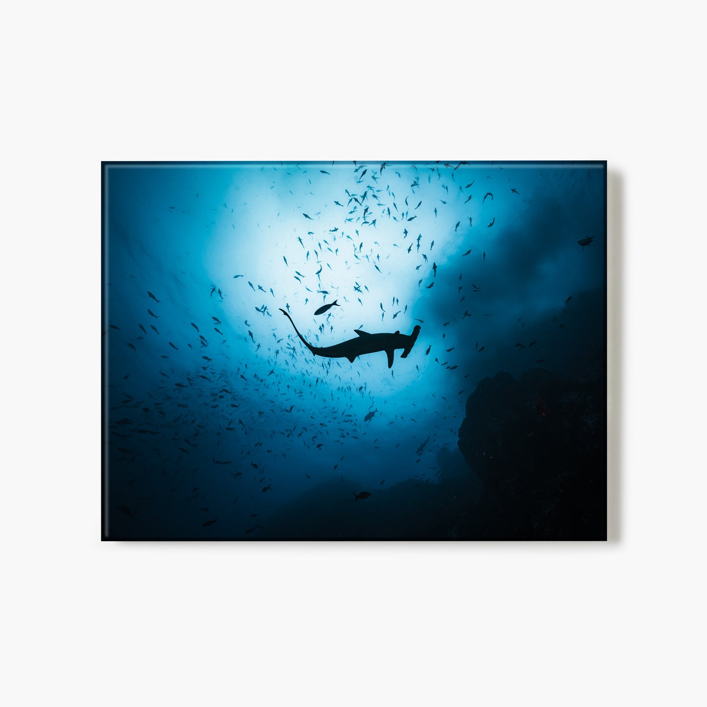 A glass print of a hammerhead shark silhouette swimming among fish in deep blue water