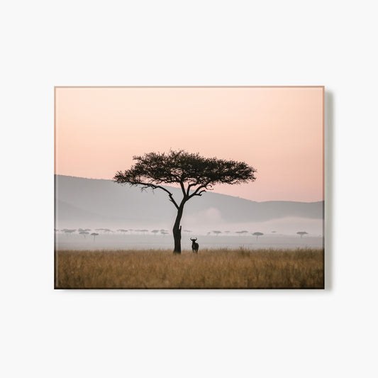 Africa Watcher
