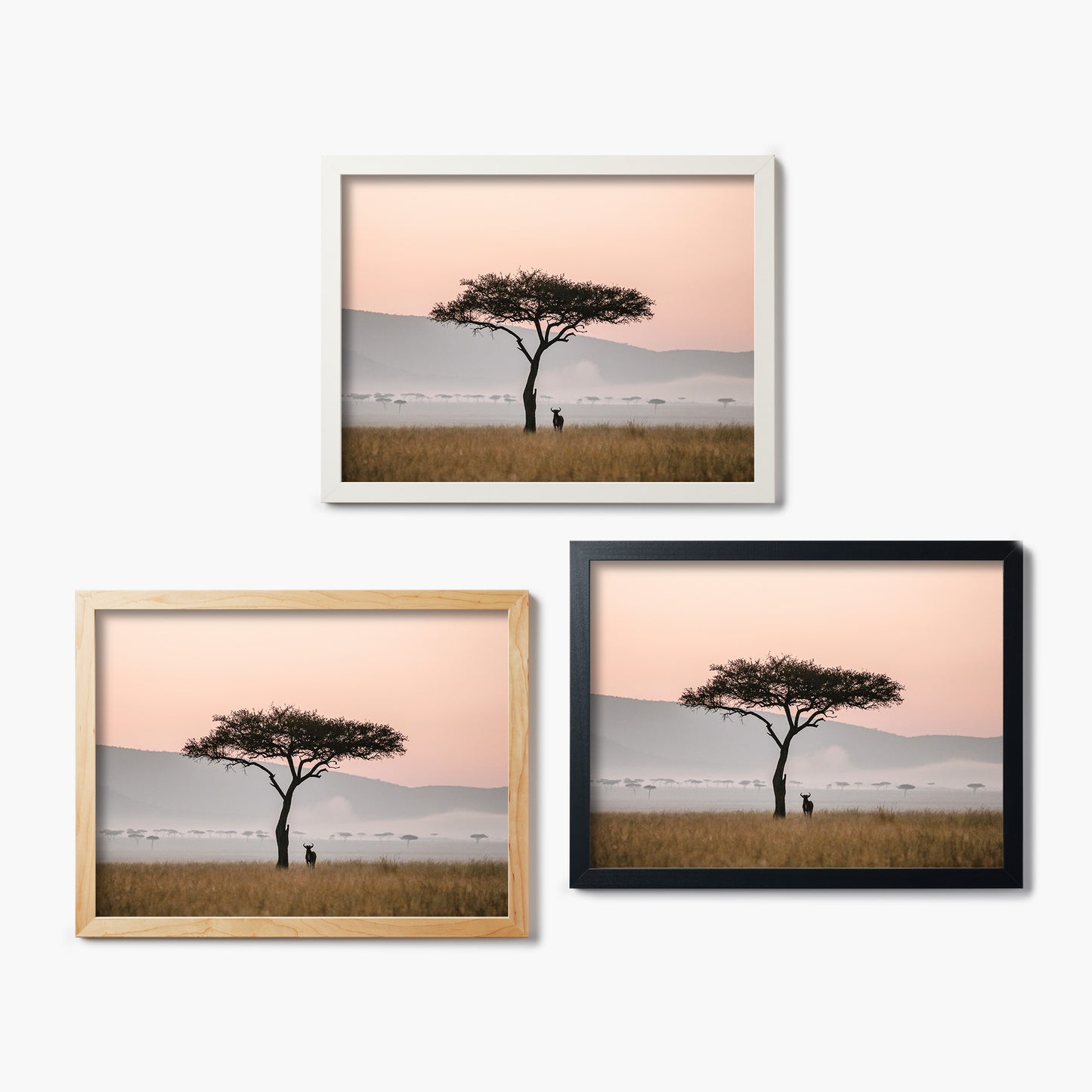 Africa Watcher