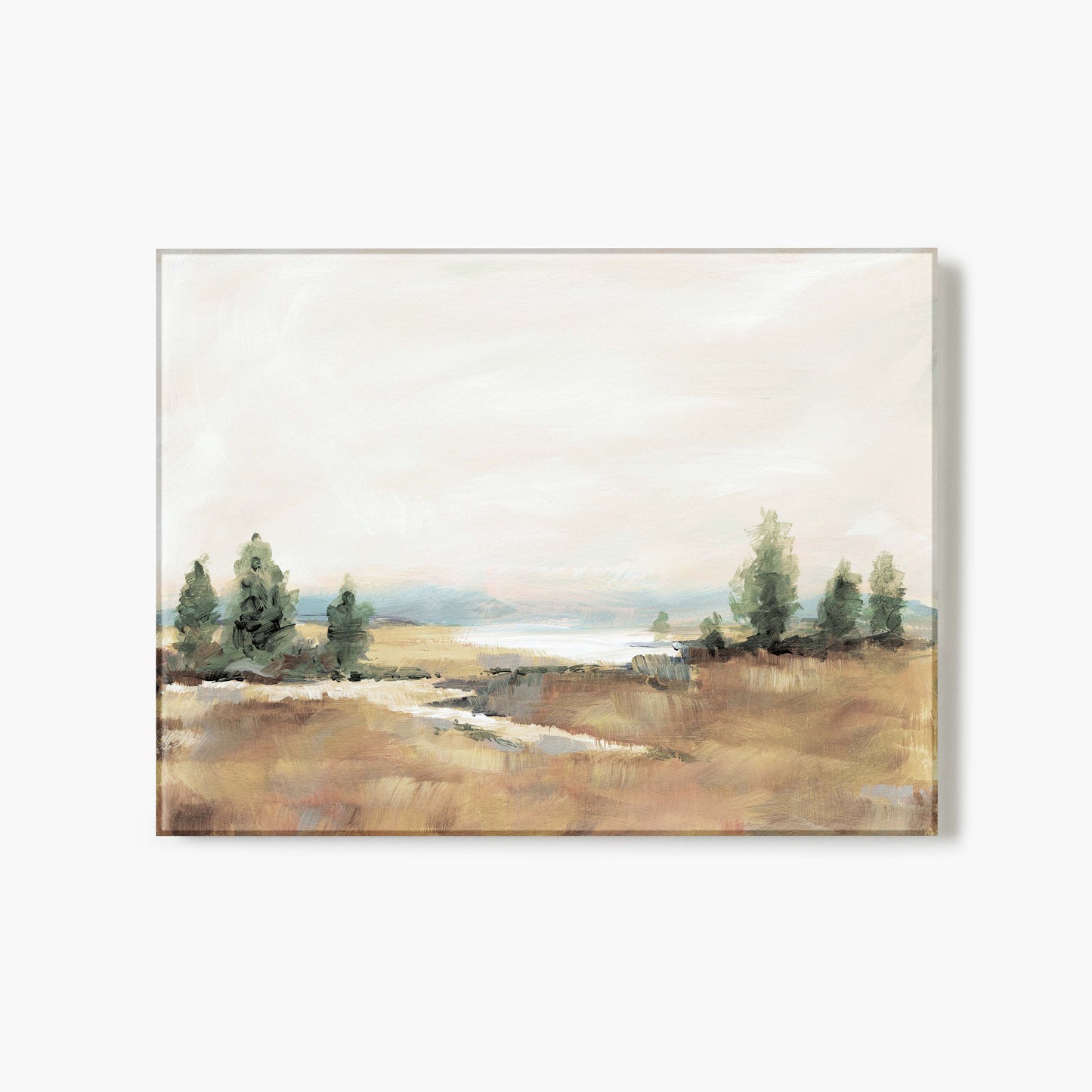 Amity Pond Neutral