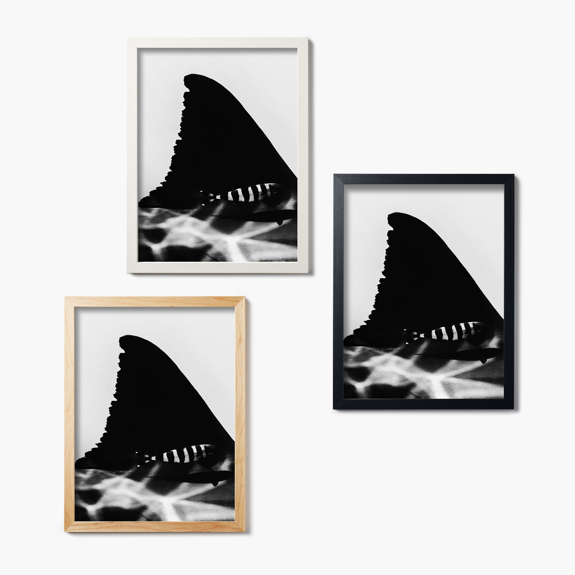 Three framed black and white artworks of shark fins on a white wall.
