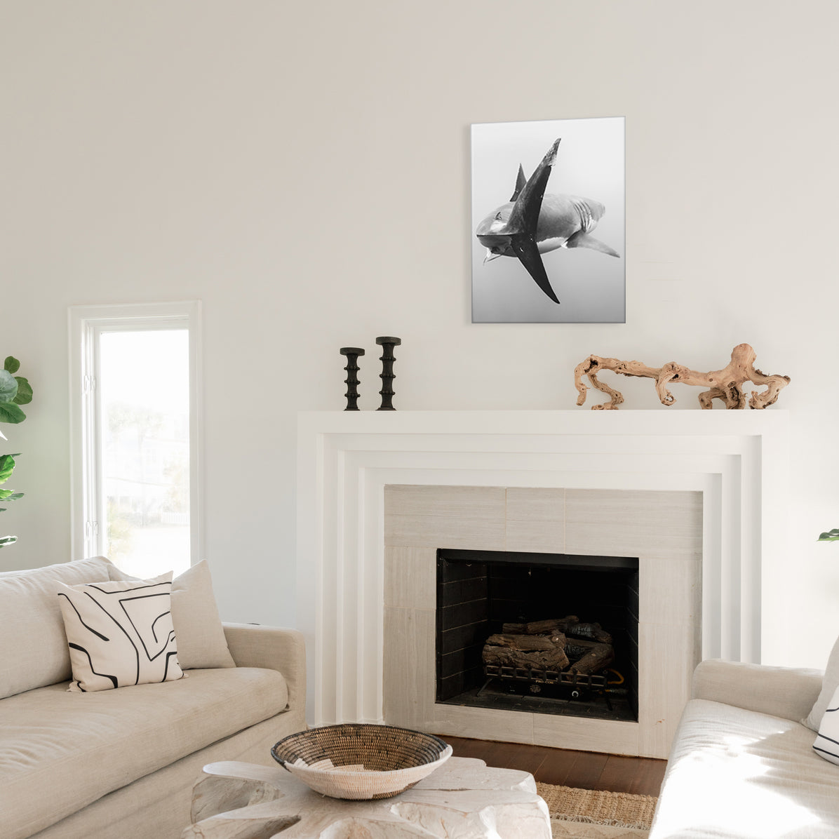Black And Great White II