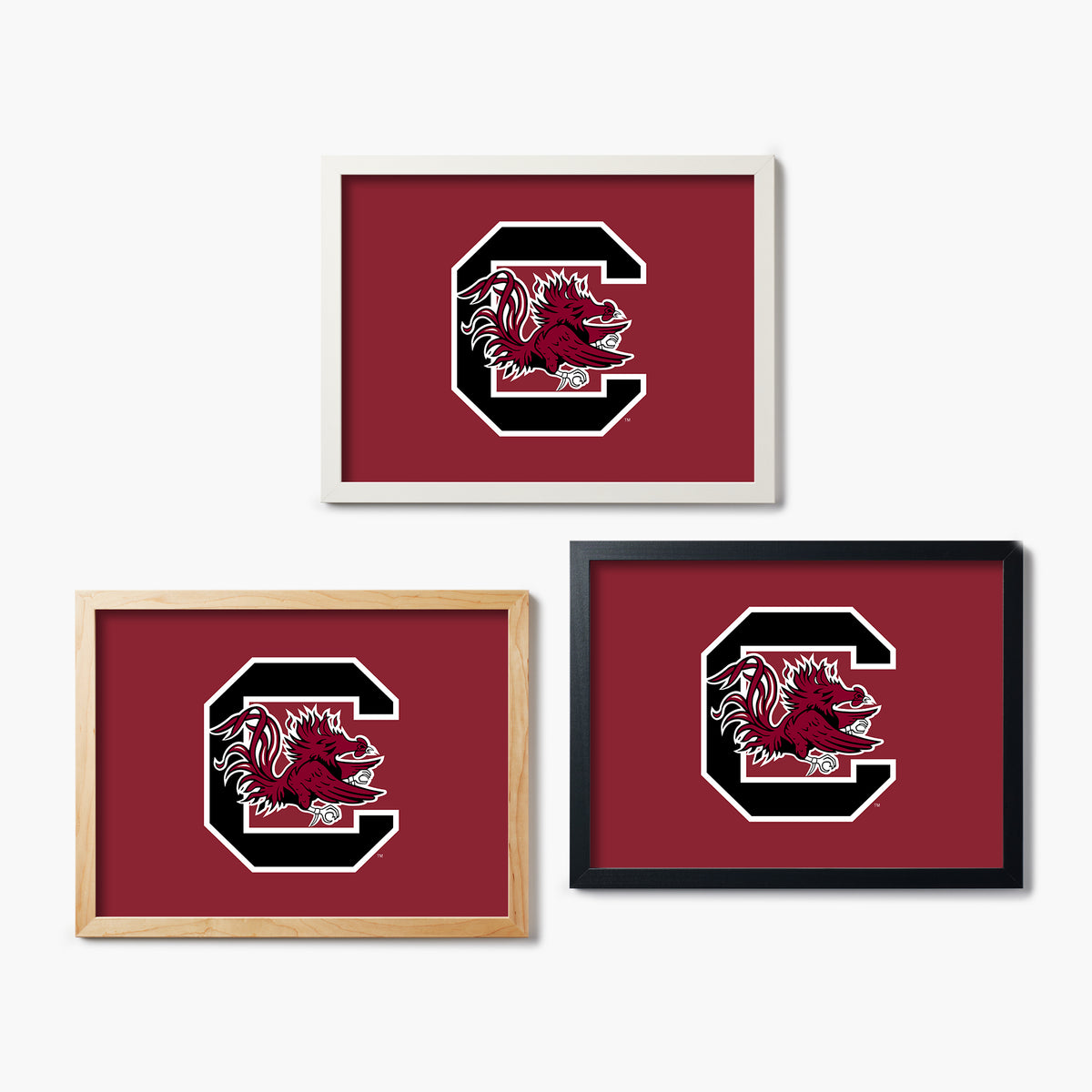Carolina Gamecocks