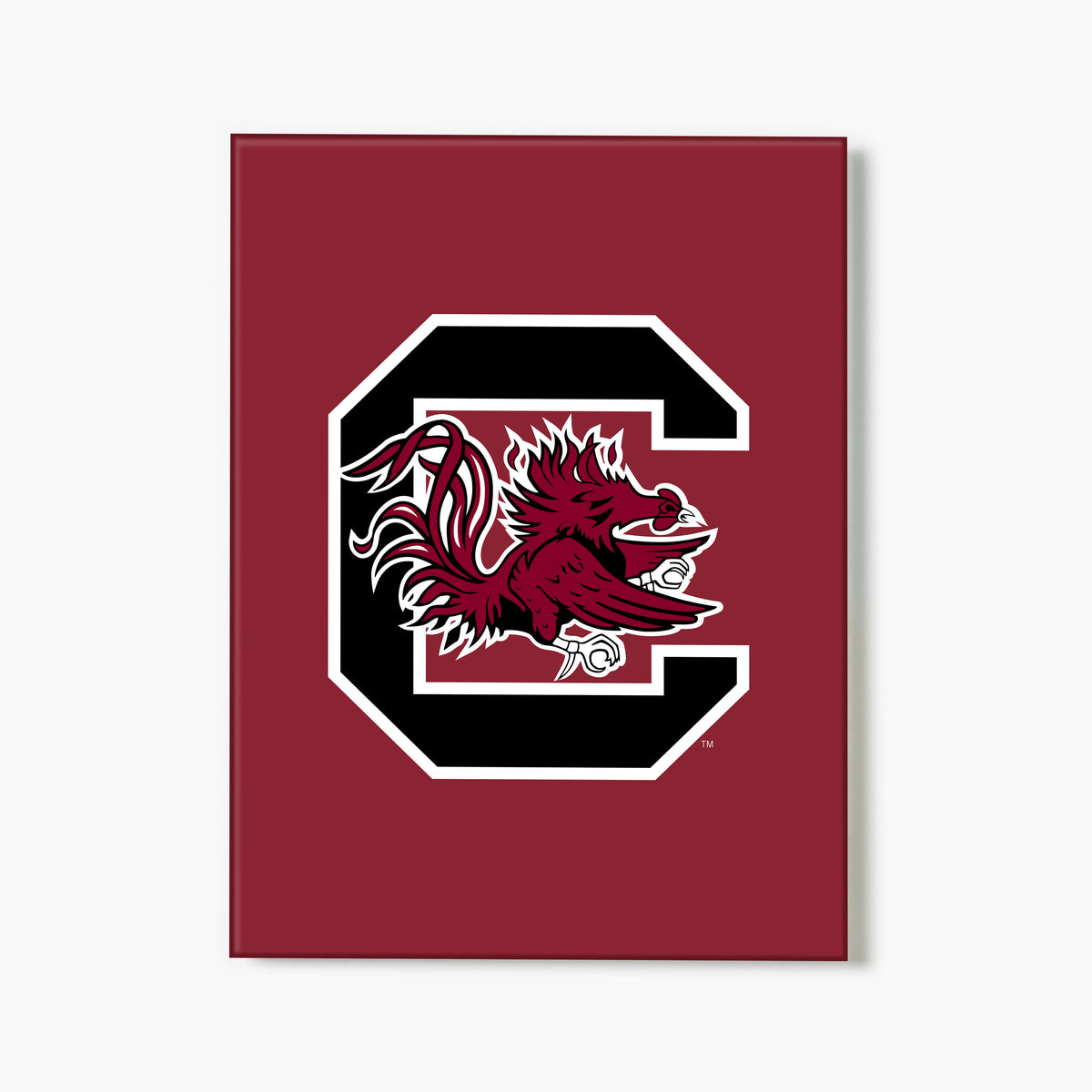 Carolina Gamecocks