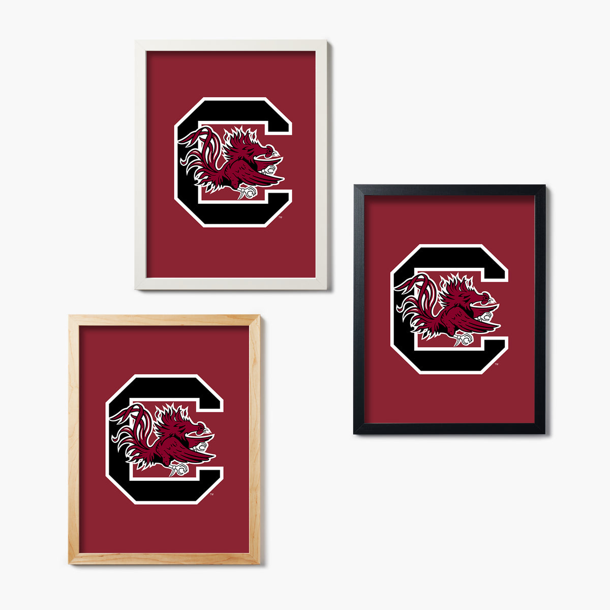 Carolina Gamecocks