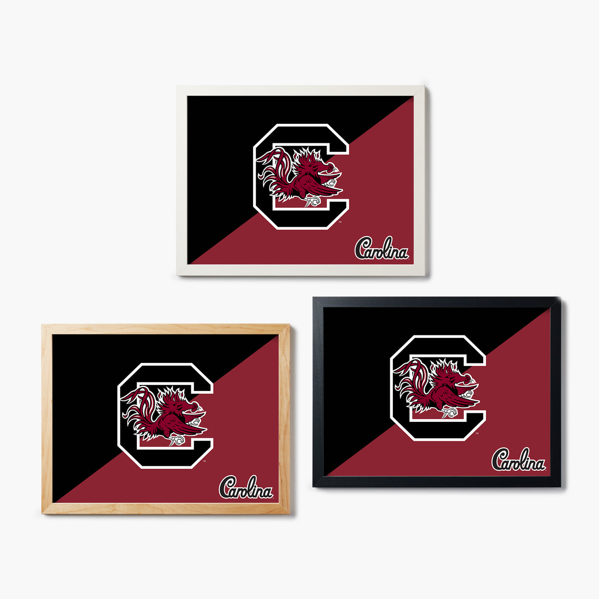 Carolina Gamecocks Graphic