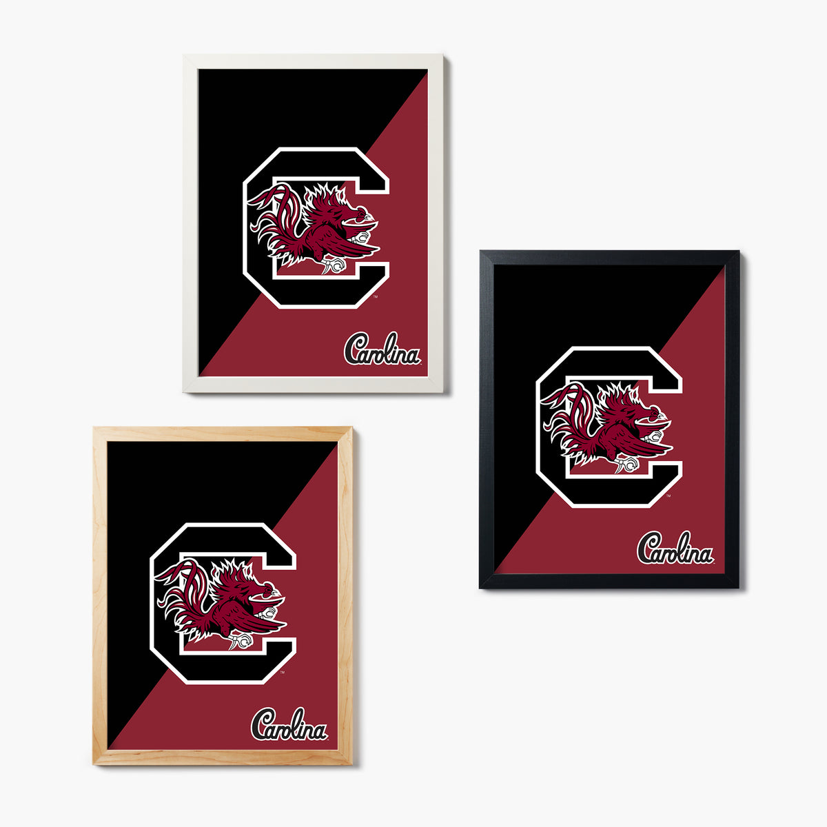 Carolina Gamecocks Graphic