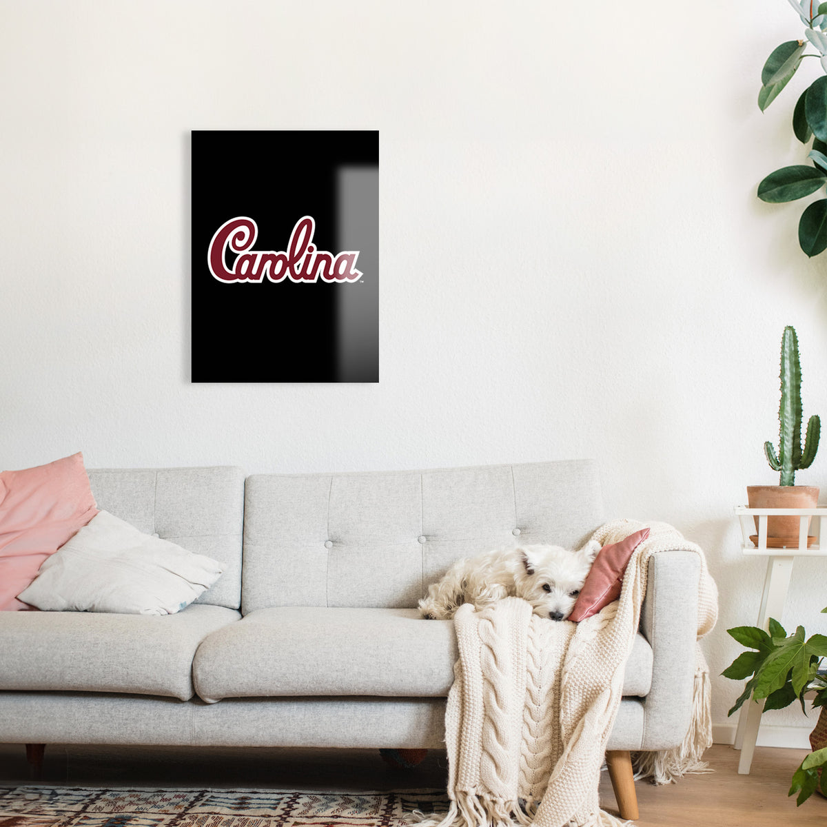 Carolina Script