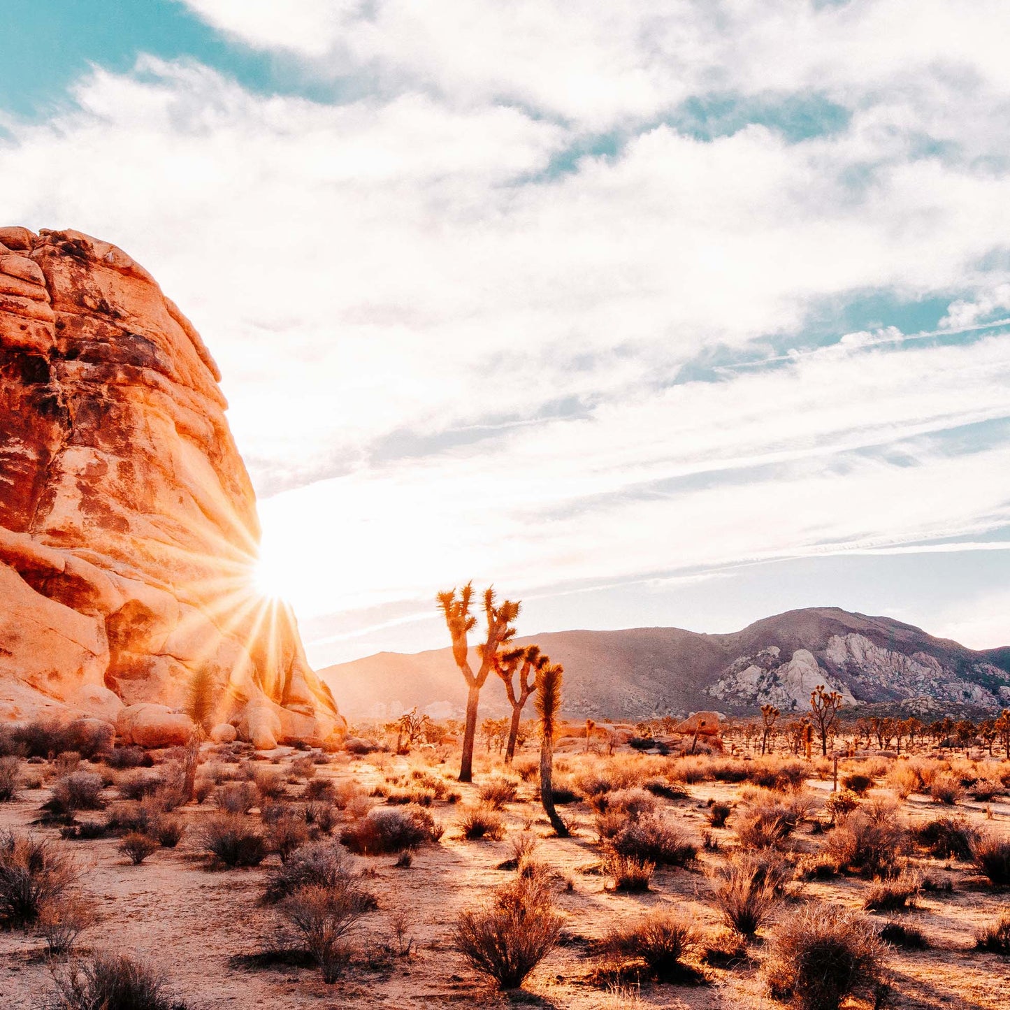 Desert Valley At Dawn