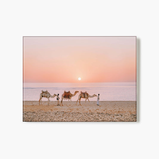 Egyptian Journey