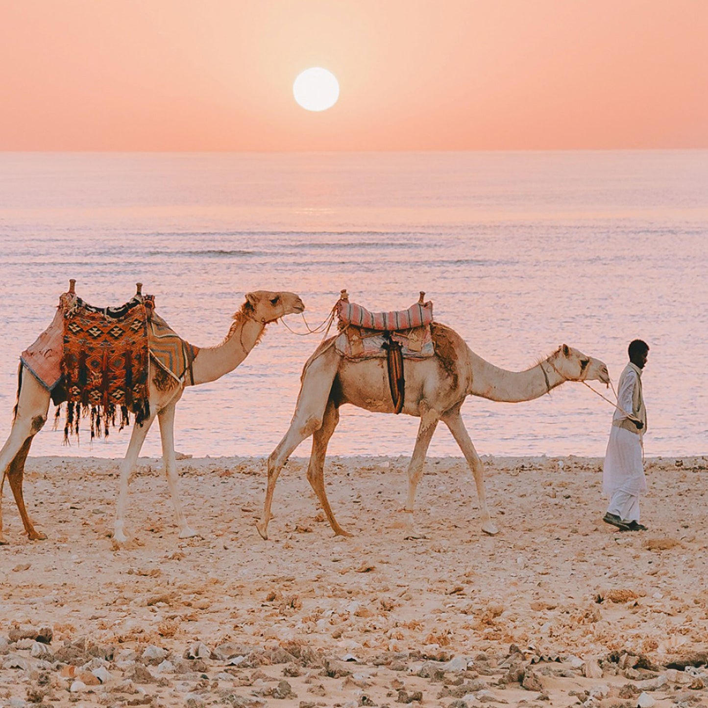 Egyptian Journey