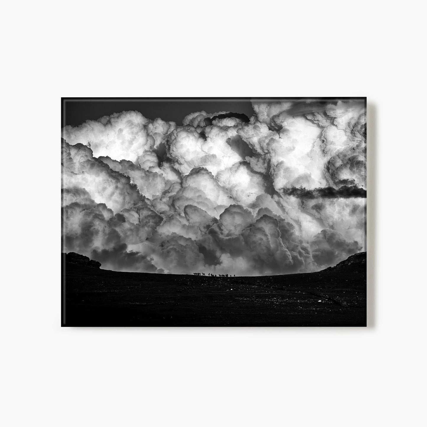 Elk In The Clouds