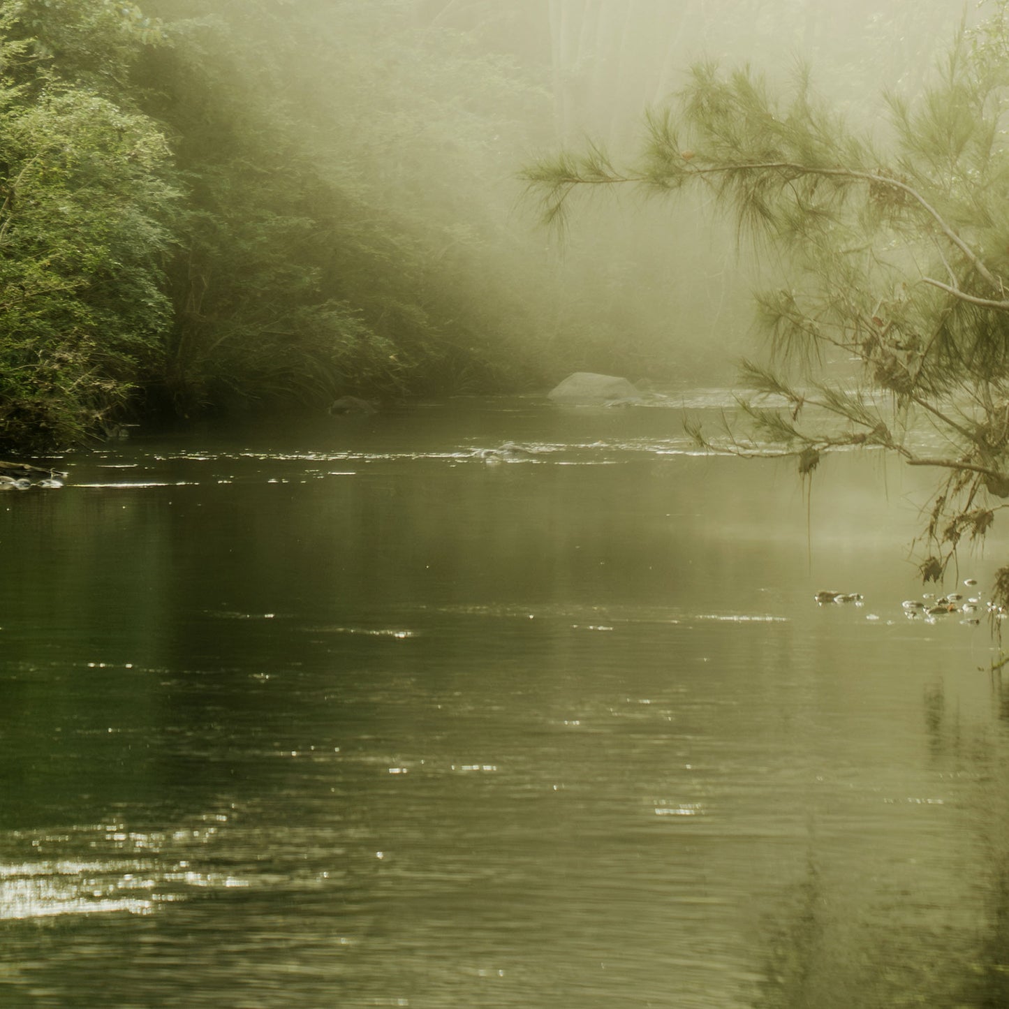 Emerald Mist