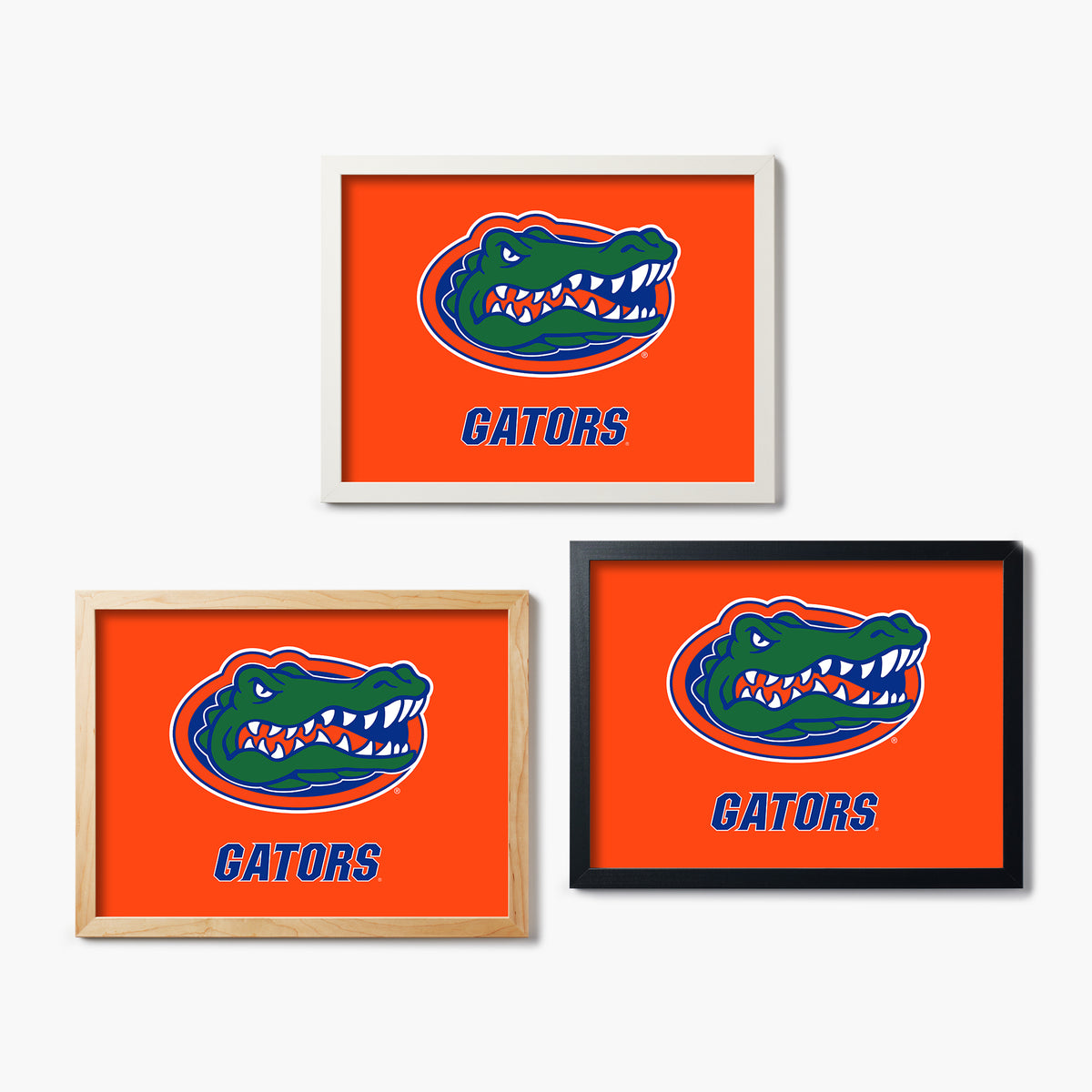Florida Gators