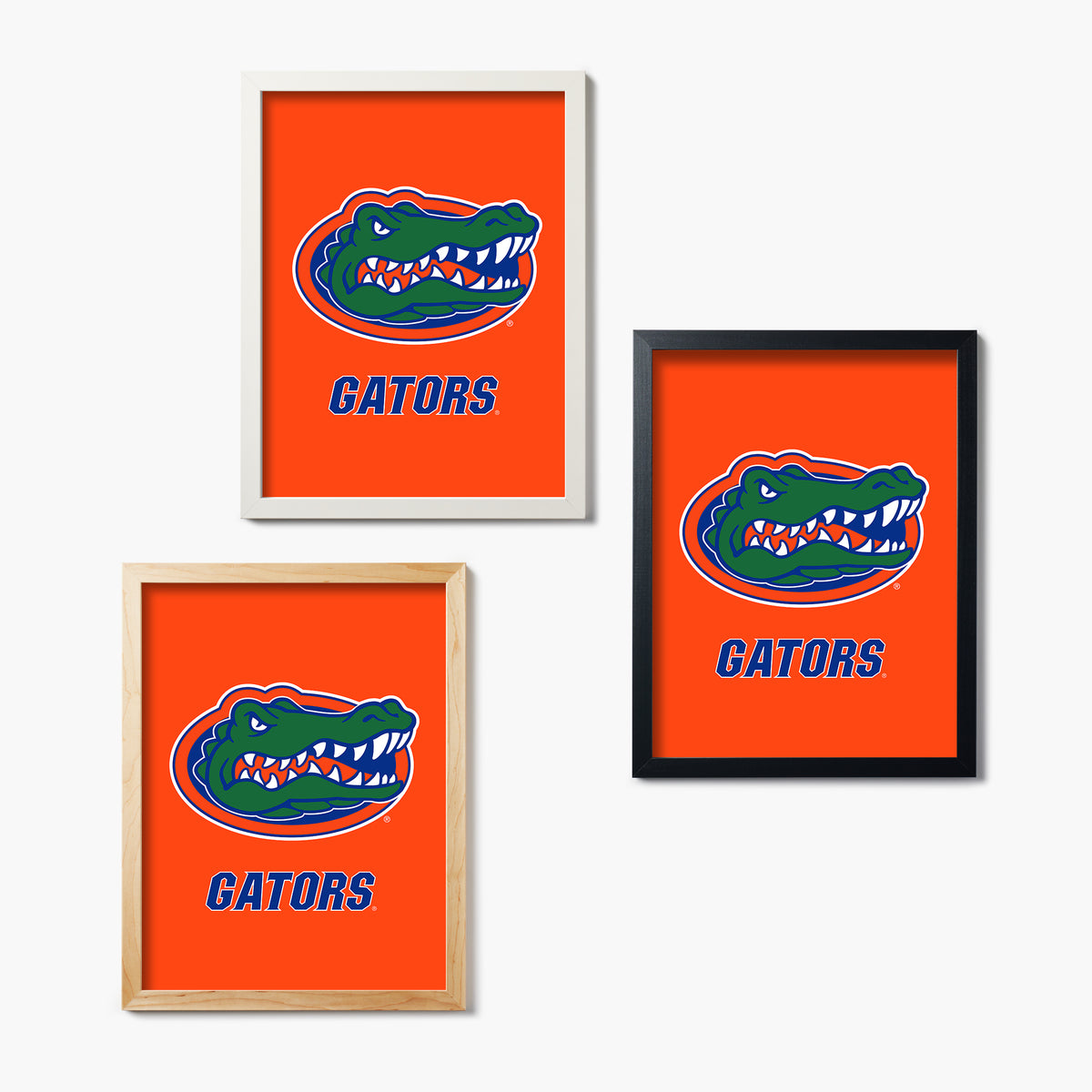 Florida Gators