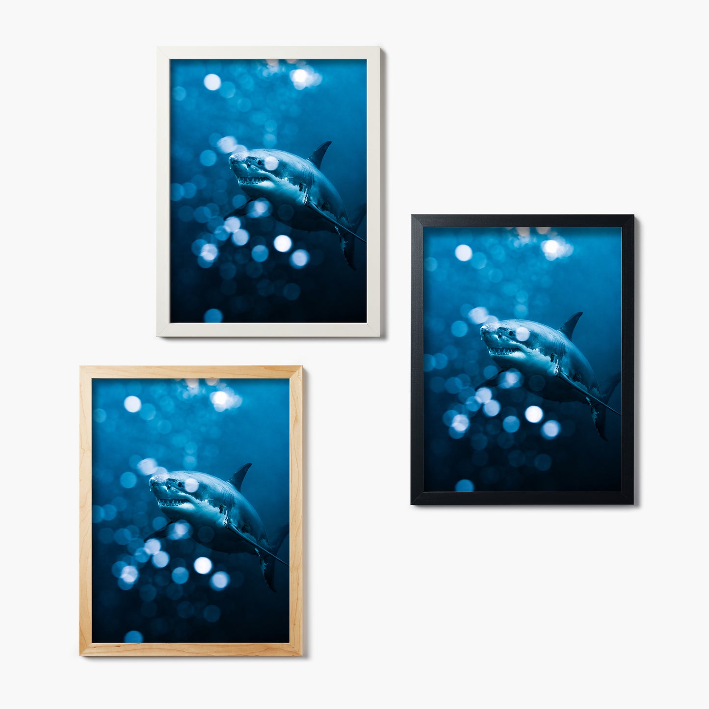 Set of three framed pictures of a shark with a blue underwater bokeh effect.