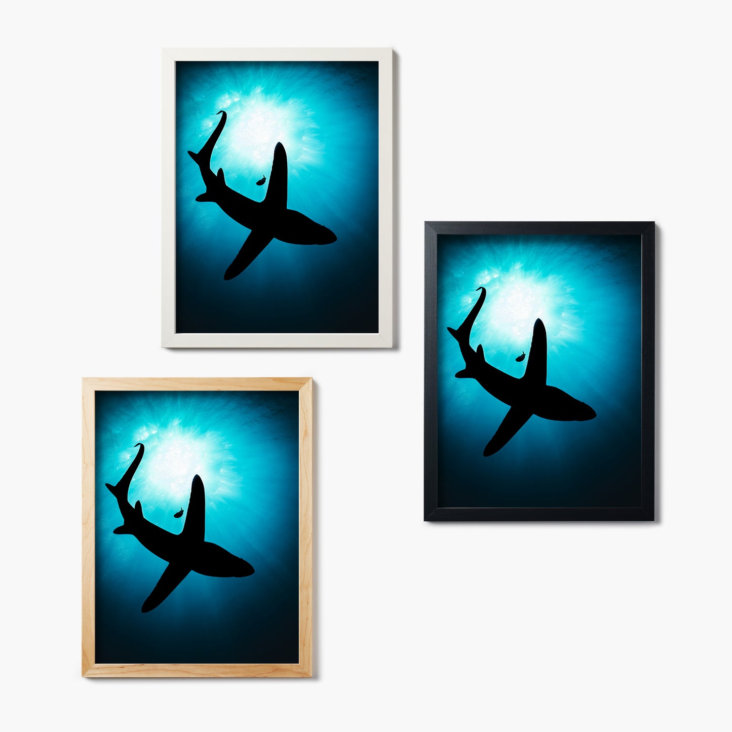 Set of three framed glass prints with shark silhouettes on a blue gradient background.