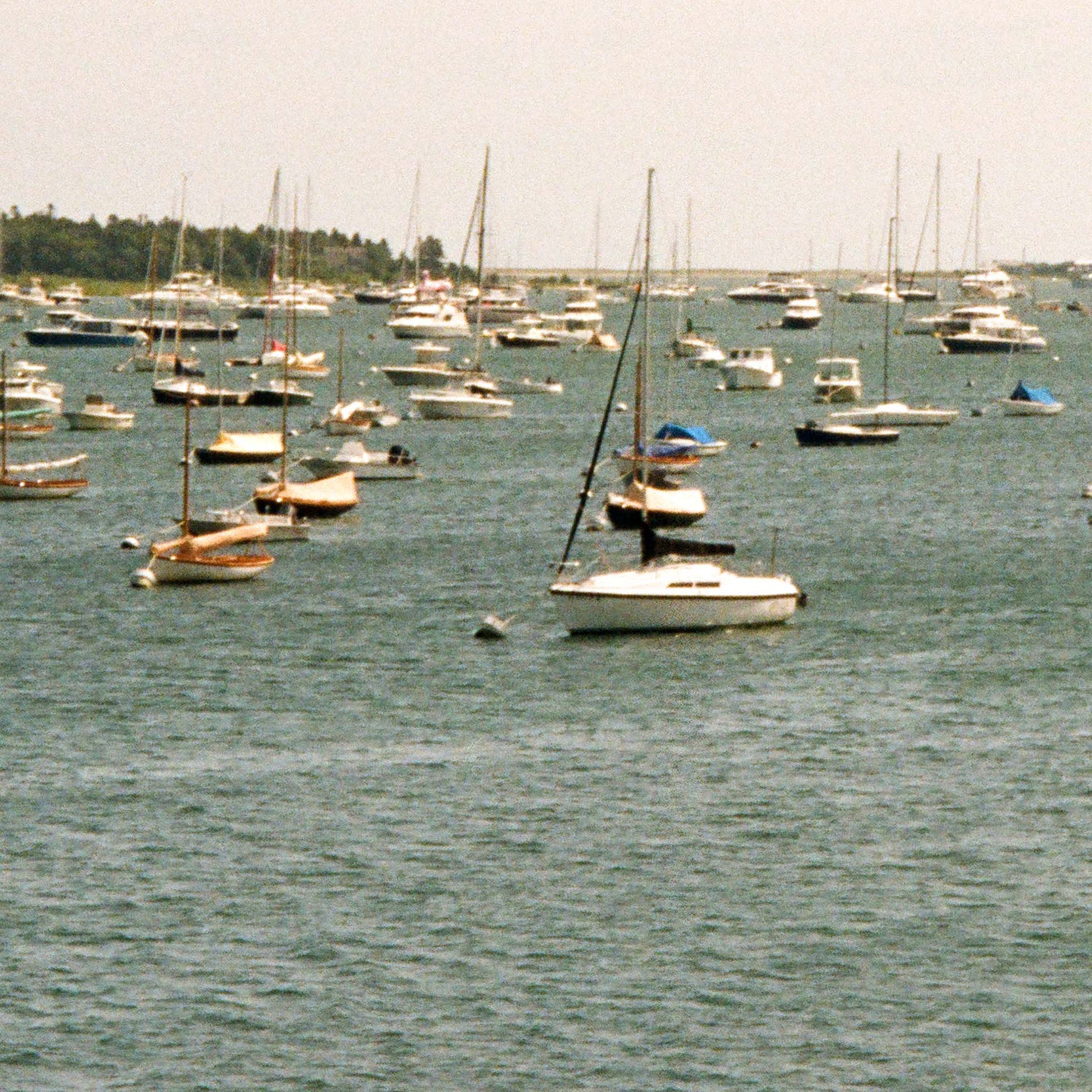 Close up of a harbor filled with numerous sailboats docked in a body of water.