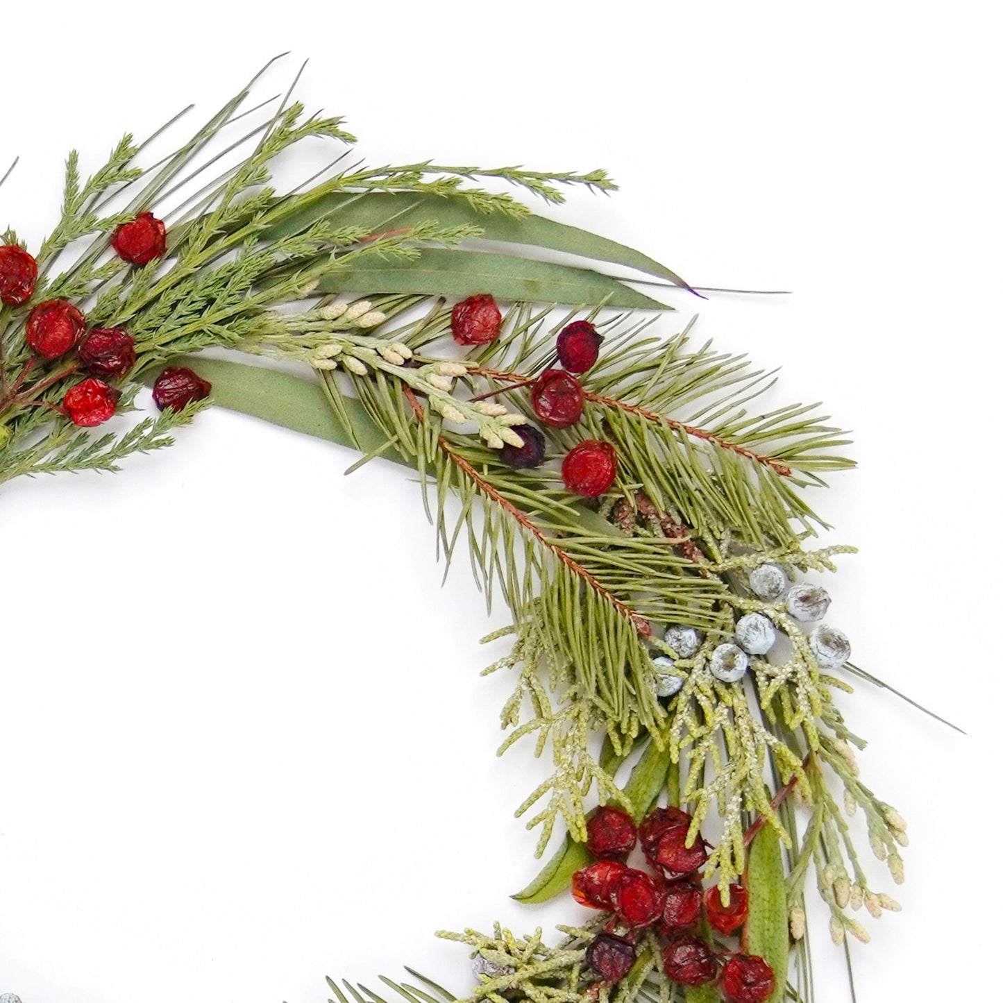 Holly Wreath Pressed Floral Print