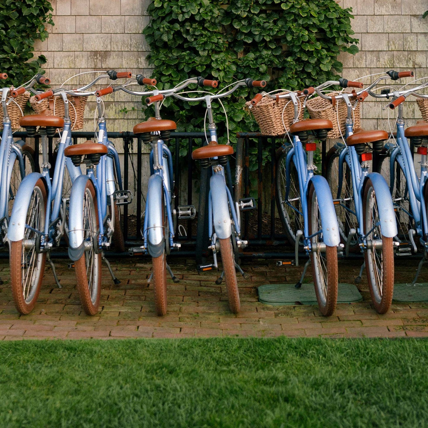 Close up of a row of vintage blue bicycles with brown seats and tires parked against a brick wall with greenery.