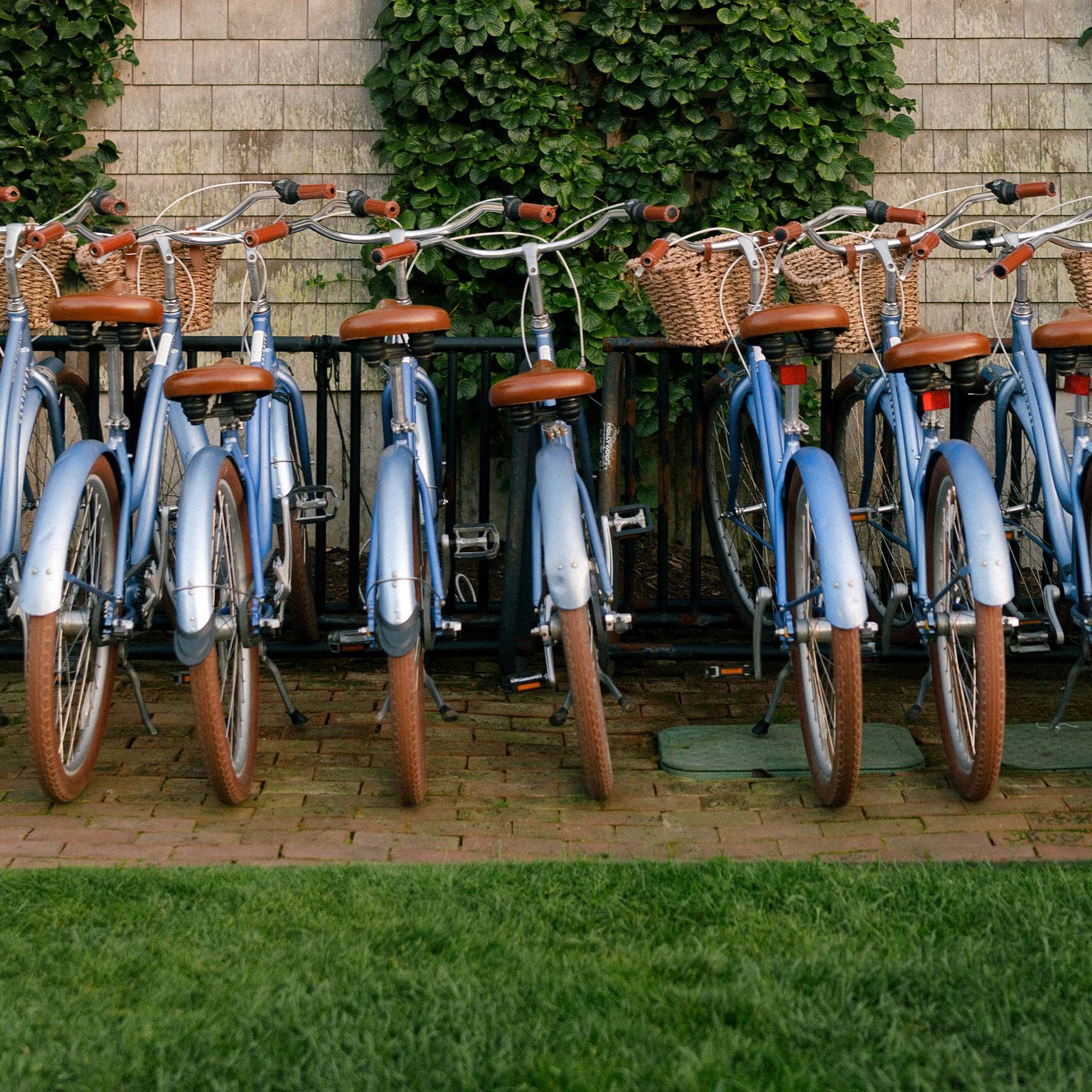 Close up of a row of vintage blue bicycles with brown seats and tires parked against a brick wall with greenery.