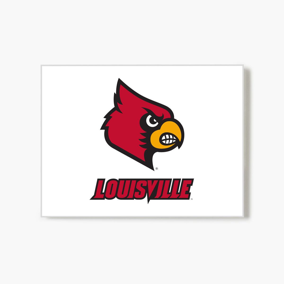 Louisville Cardinal