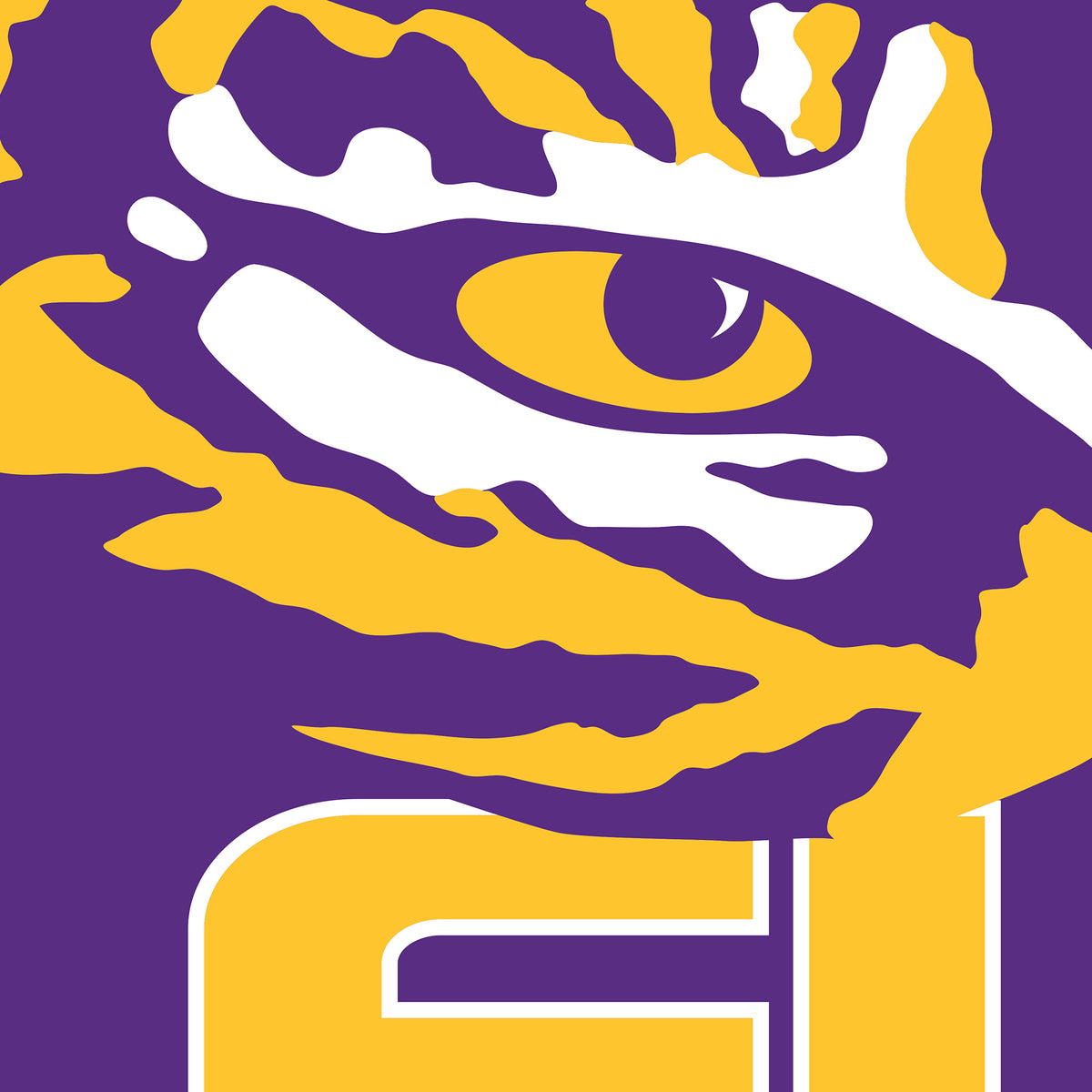 LSU Tiger Eye