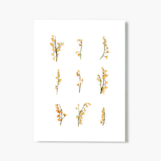 May Lily Of The Valley No. 2 Pressed Floral Print